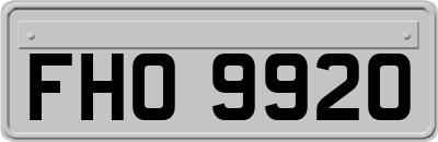 FHO9920