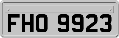 FHO9923