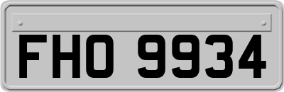FHO9934