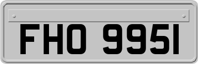 FHO9951