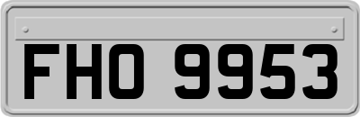 FHO9953