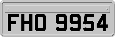 FHO9954