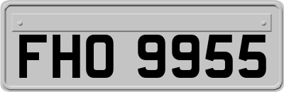 FHO9955