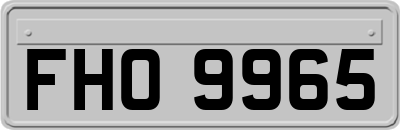 FHO9965