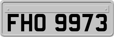 FHO9973