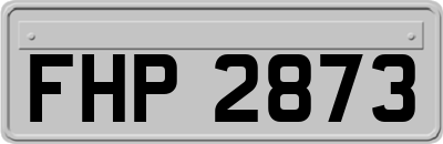 FHP2873