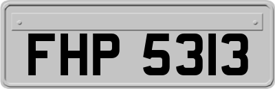 FHP5313