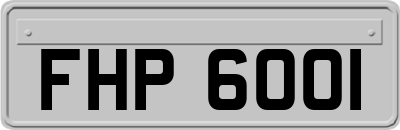 FHP6001