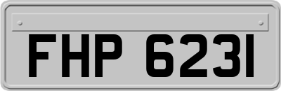 FHP6231