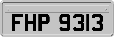 FHP9313