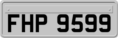 FHP9599