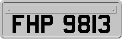 FHP9813