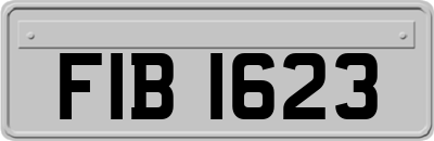 FIB1623