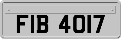 FIB4017