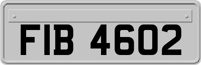 FIB4602
