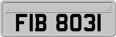 FIB8031