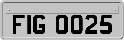 FIG0025