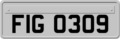 FIG0309