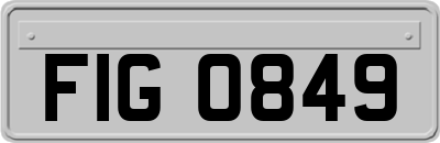 FIG0849