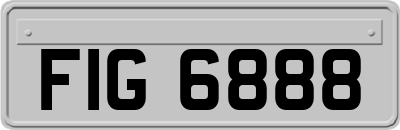 FIG6888