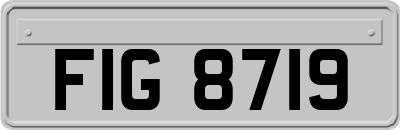 FIG8719