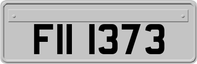 FII1373
