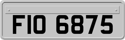 FIO6875