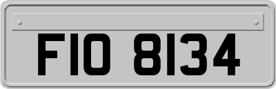 FIO8134