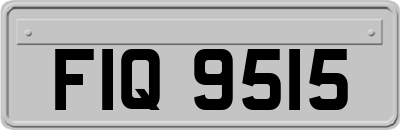 FIQ9515