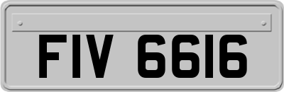 FIV6616