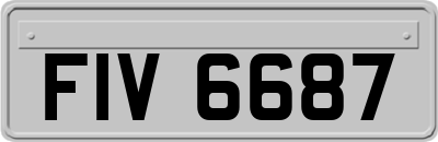 FIV6687