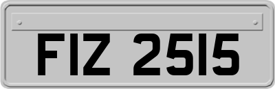 FIZ2515