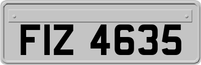 FIZ4635