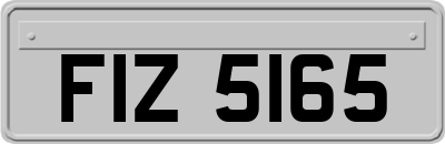 FIZ5165