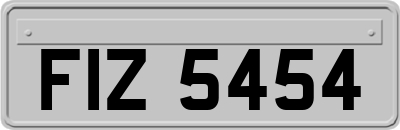 FIZ5454