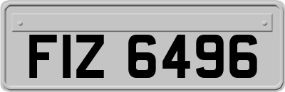 FIZ6496