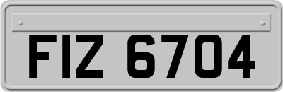 FIZ6704