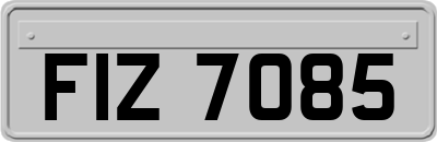 FIZ7085