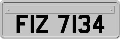 FIZ7134