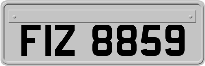 FIZ8859
