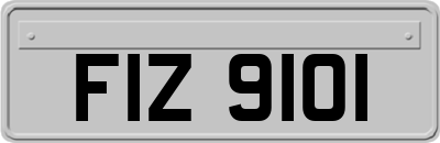 FIZ9101