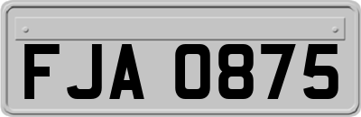 FJA0875