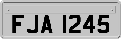 FJA1245
