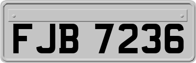 FJB7236