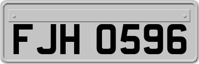 FJH0596