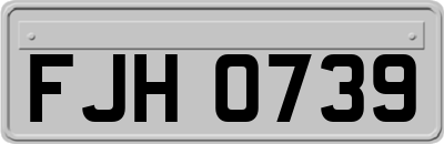 FJH0739