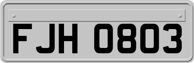 FJH0803