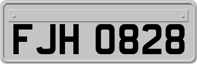 FJH0828