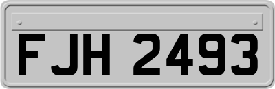 FJH2493