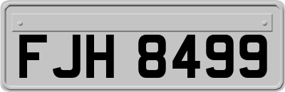 FJH8499